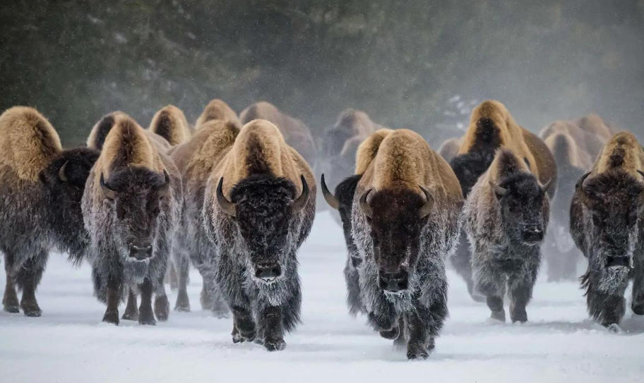 贵州源智新星教育有限公司轮播图3